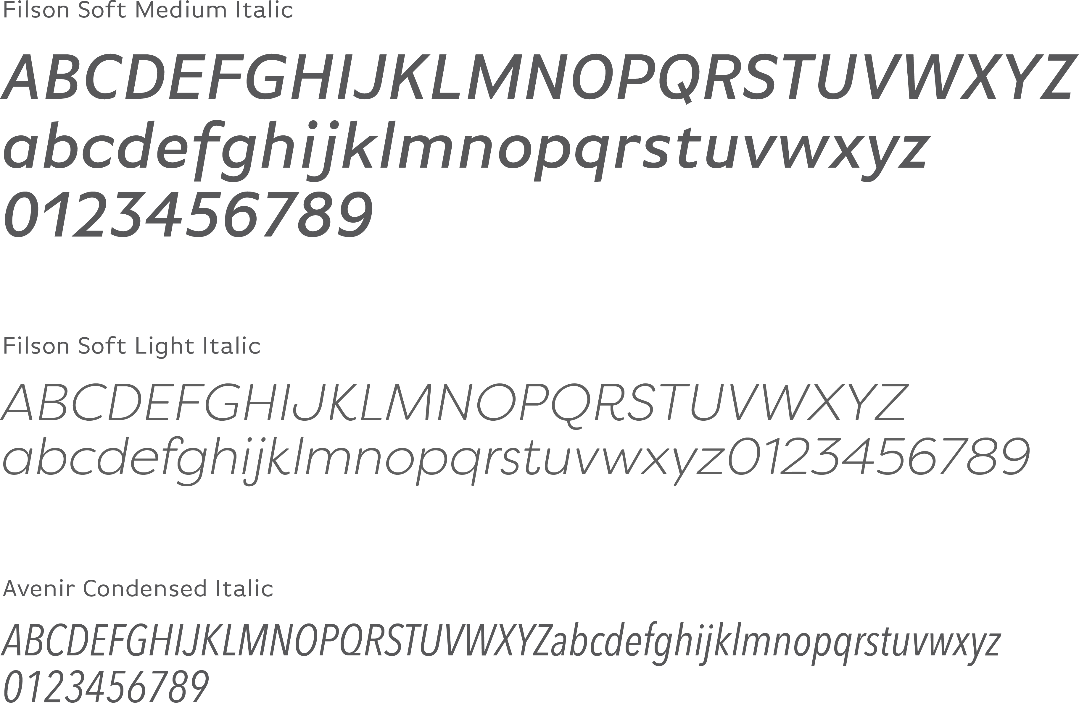 Neffy Typgraphy
